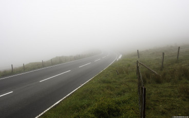 Mountain Fog Race Day 10.40am