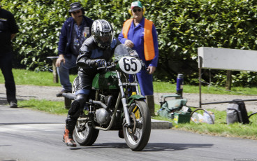 BSA METISSE