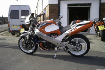 SF BIMOTA9