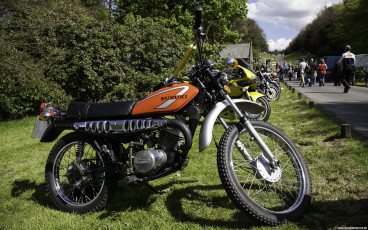 Suzuki TS
