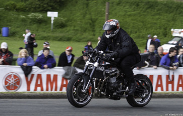 Suzuki Bandit