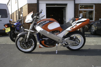 SF BIMOTA6
