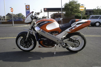 SF BIMOTA5