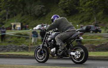 Suzuki Bandit