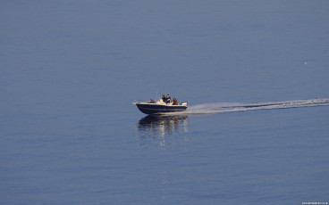 Speed Boat