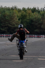 IMG_7992.jpg