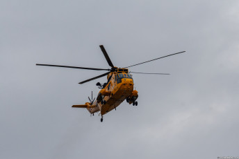 IMG_7972.jpg