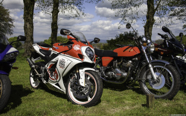 Suzuki GSXR750 Lucky Strike