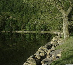 Buttermere-16