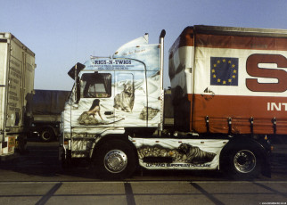 Scania Custom Paint