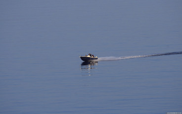 Speed Boat